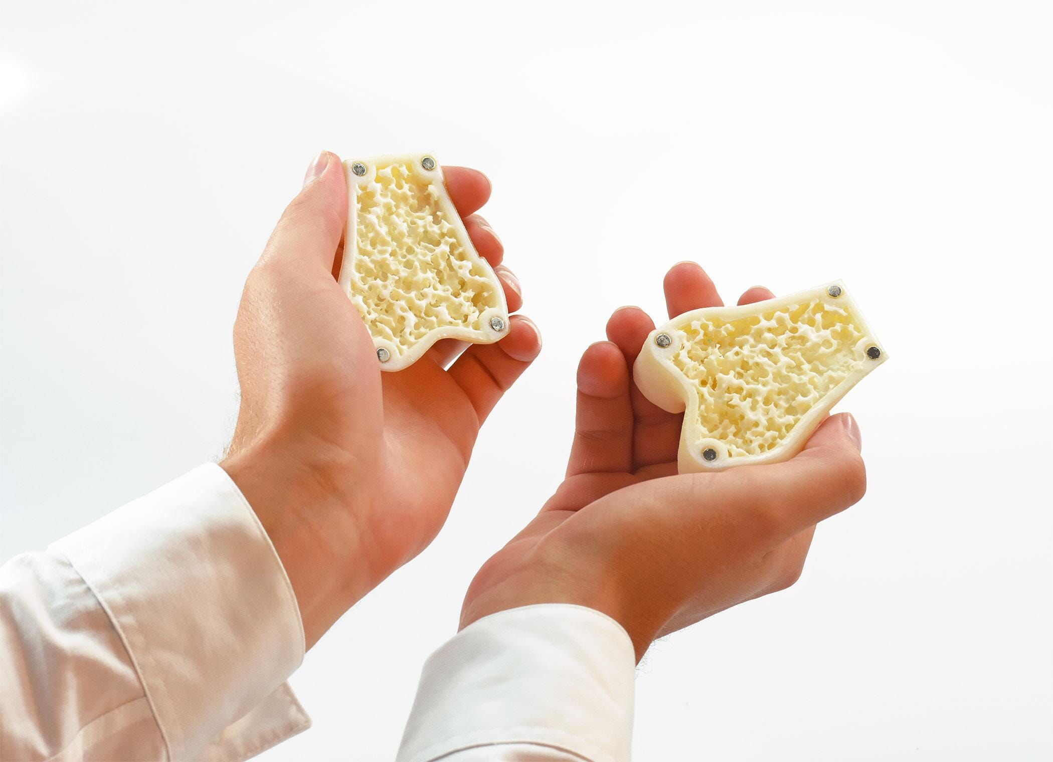 Magnetic Bone in hands - BioMimics